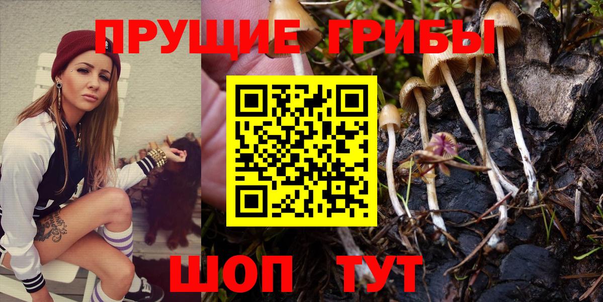 Псилоцибиновые грибы мицелий  Вход с VPN  Волжск 